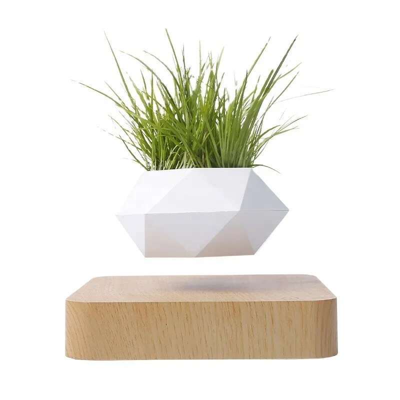 Magnetic Levitation Potted Plant - KIIRA