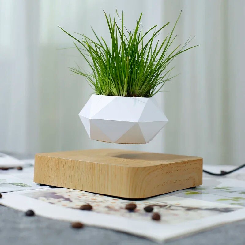 Magnetic Levitation Potted Plant - KIIRA