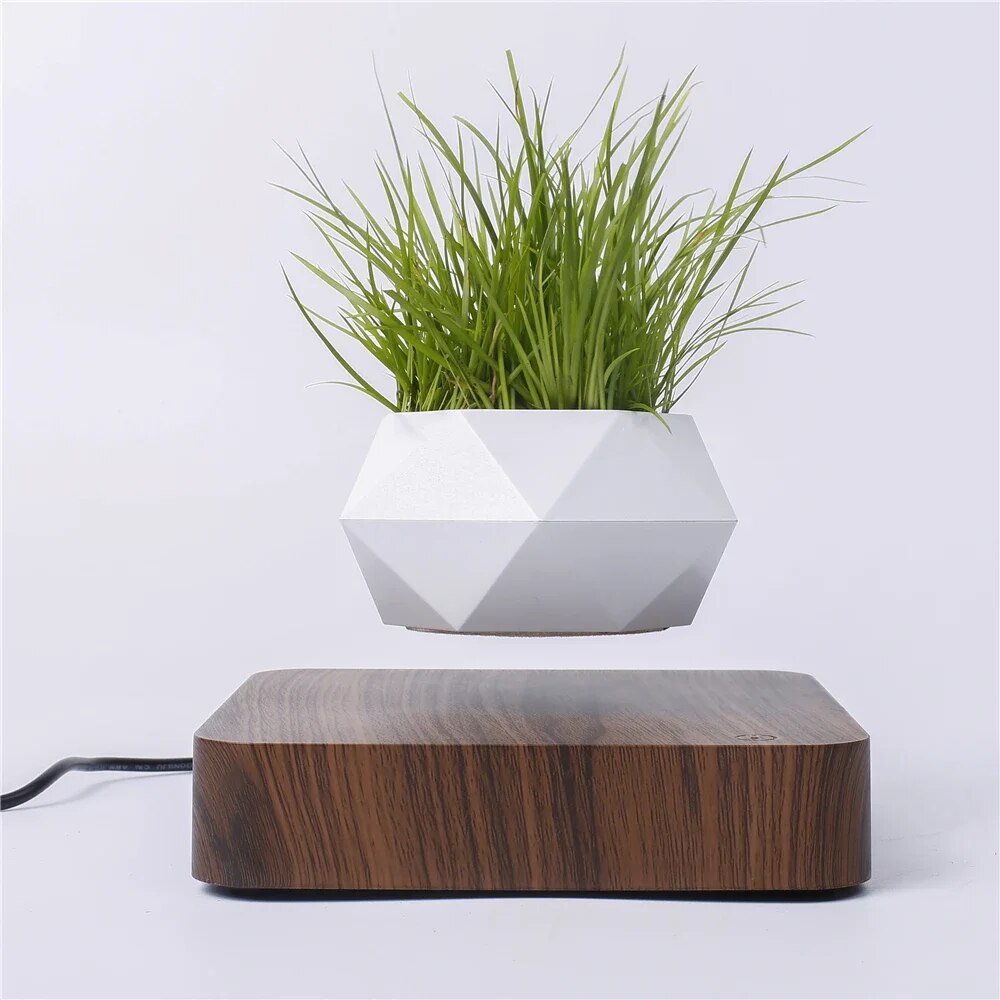 Magnetic Levitation Potted Plant - KIIRA