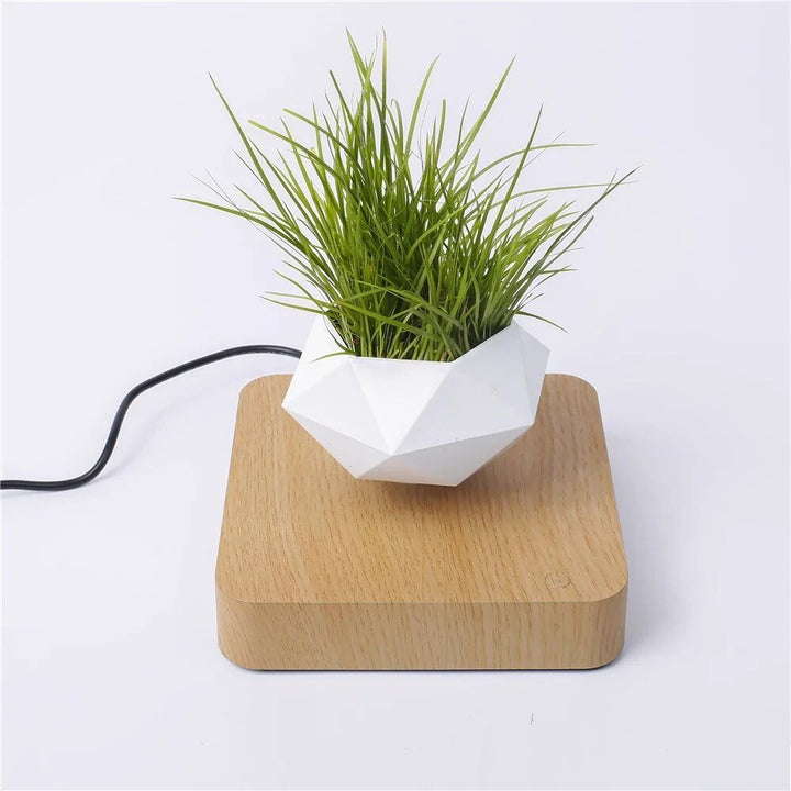 Magnetic Levitation Potted Plant - KIIRA