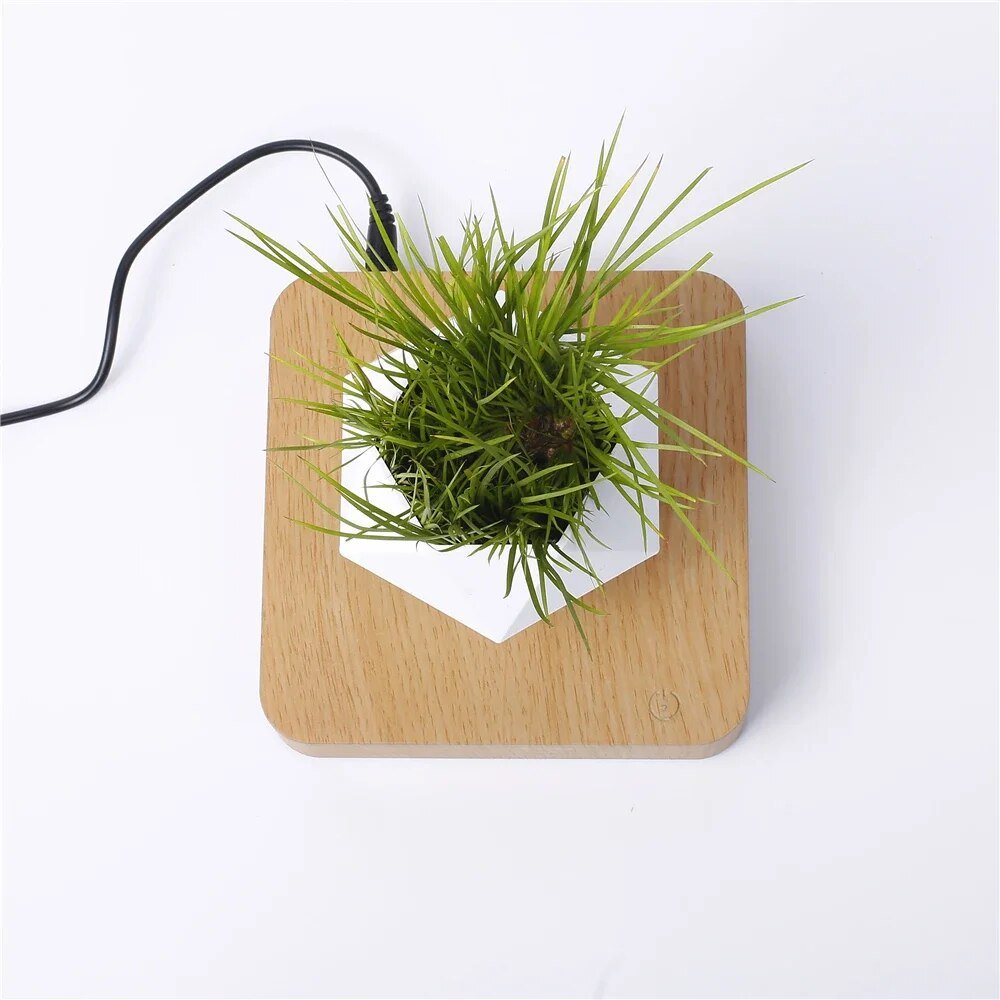 Magnetic Levitation Potted Plant - KIIRA