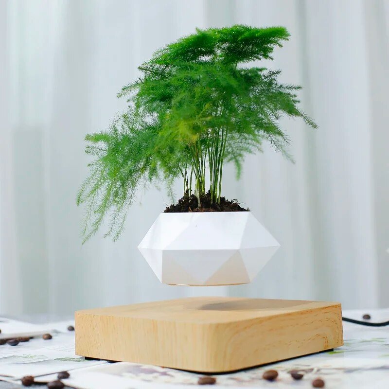 Magnetic Levitation Potted Plant - KIIRA