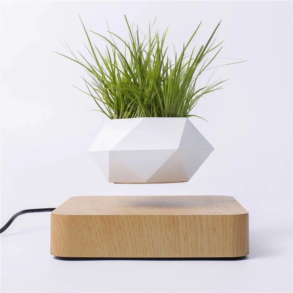 Magnetic Levitation Potted Plant - KIIRA